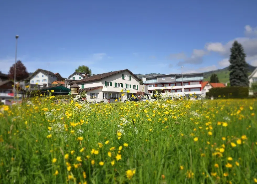 Lindenhof