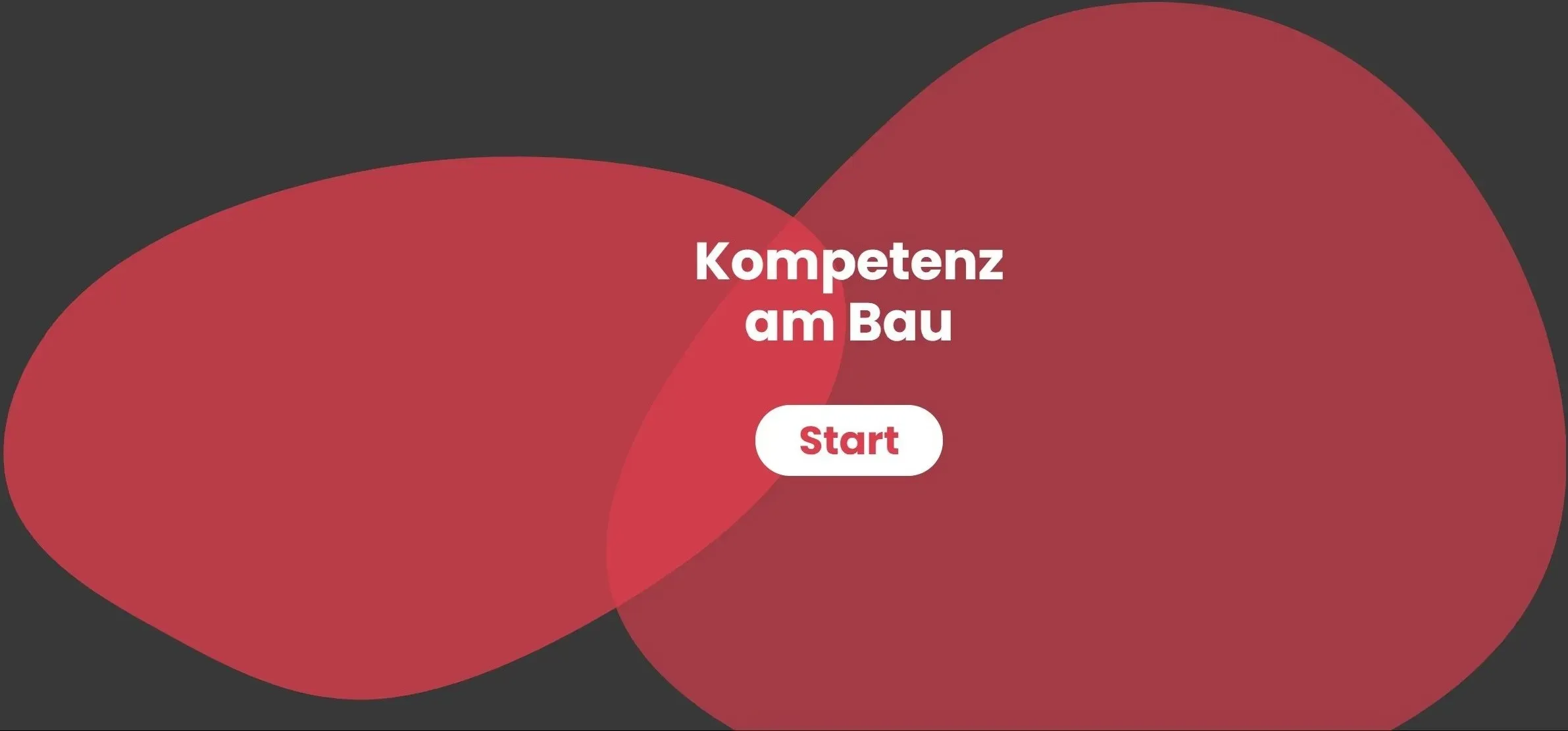 bonzani bau consulting ag