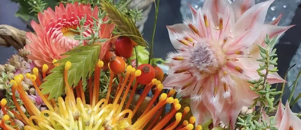 Pflanzenboutique Monika Herzog