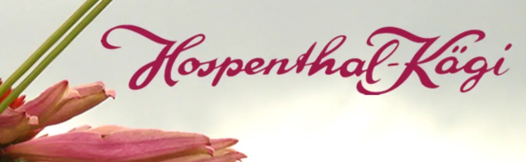 Hospenthal - Kägi AG