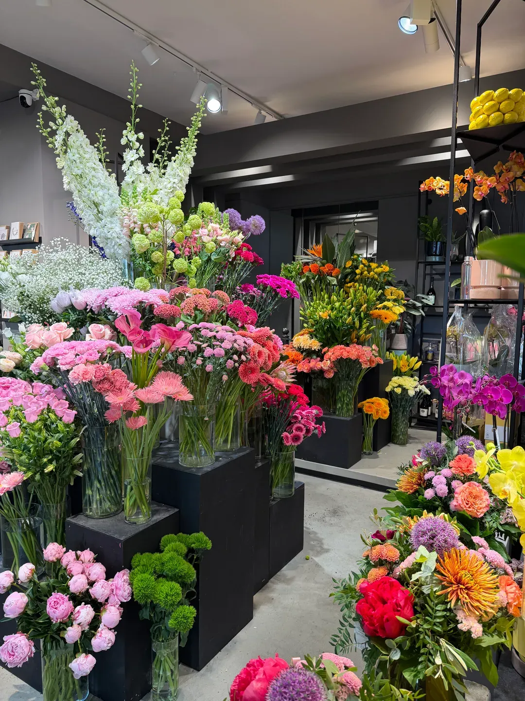 Fleur au Lac GmbH