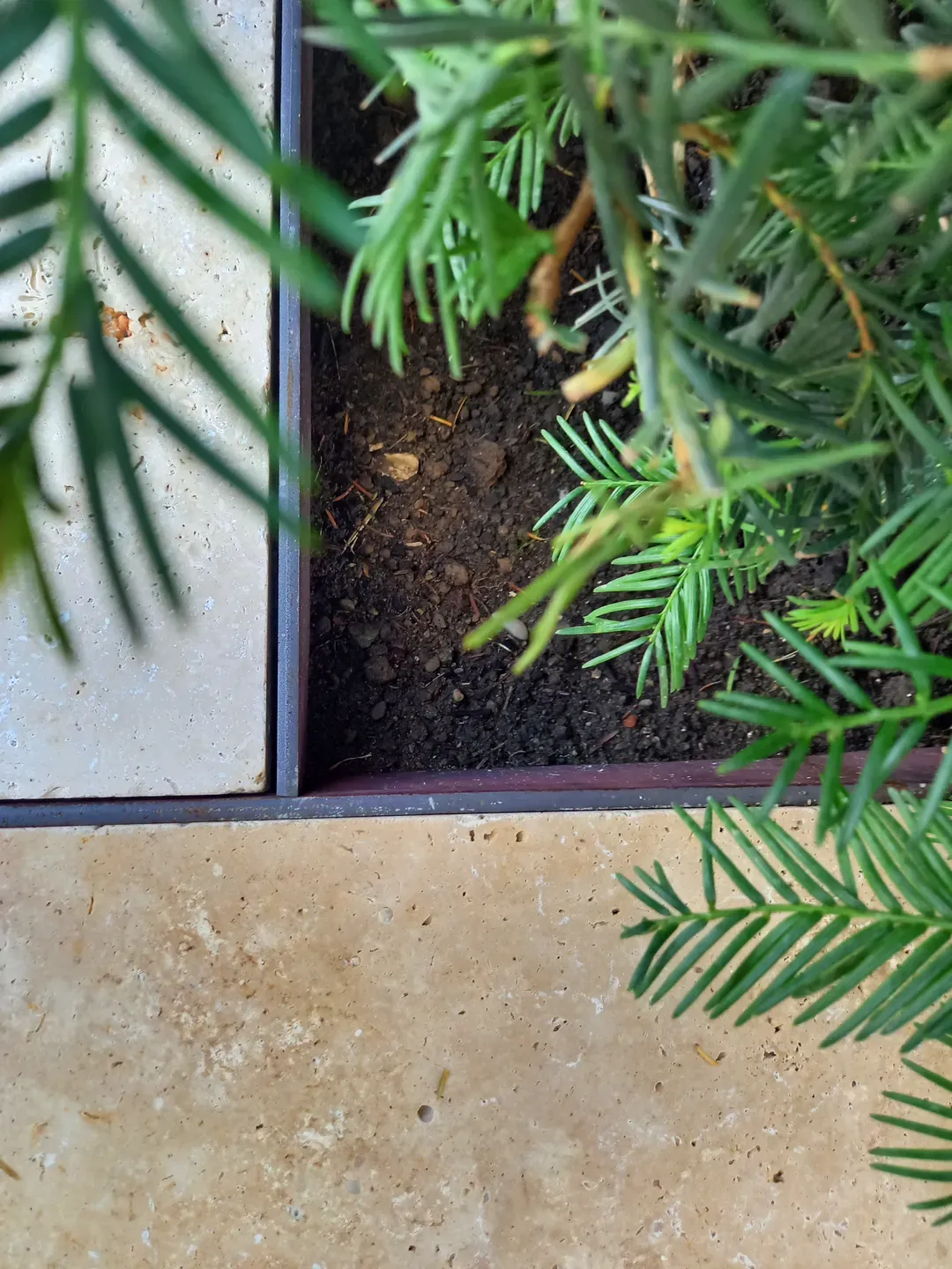 Stooss Garten- und Rasenpflege