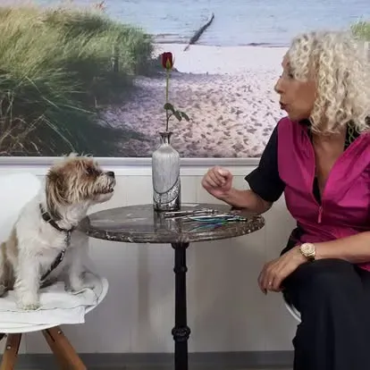 Hundesalon Farah