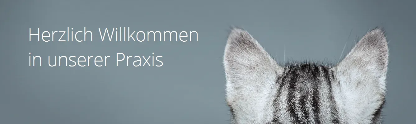 Kleintierpraxis im Moos AG