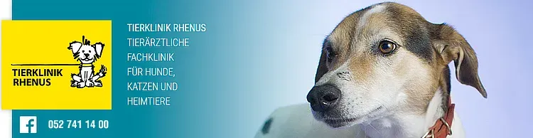 Kleintierpraxis Rhenus