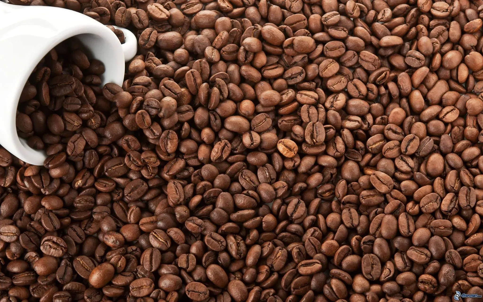 HIMA-Kaffeemaschinen
