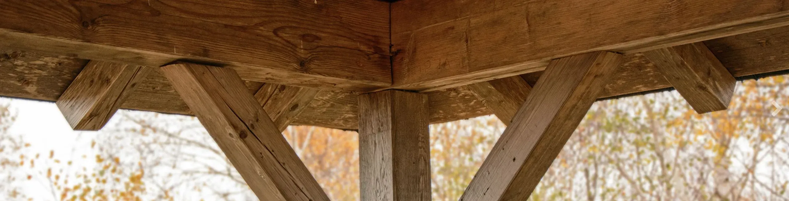 Holzbau Bilten AG
