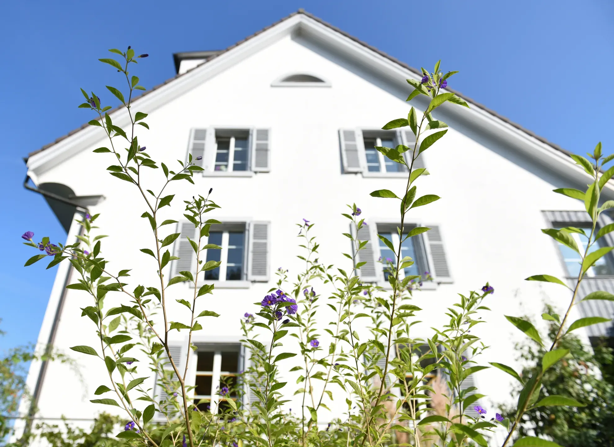 Wilob Weiterbildungsinstitut für system. lösungsorientierte Therapie und Beratung