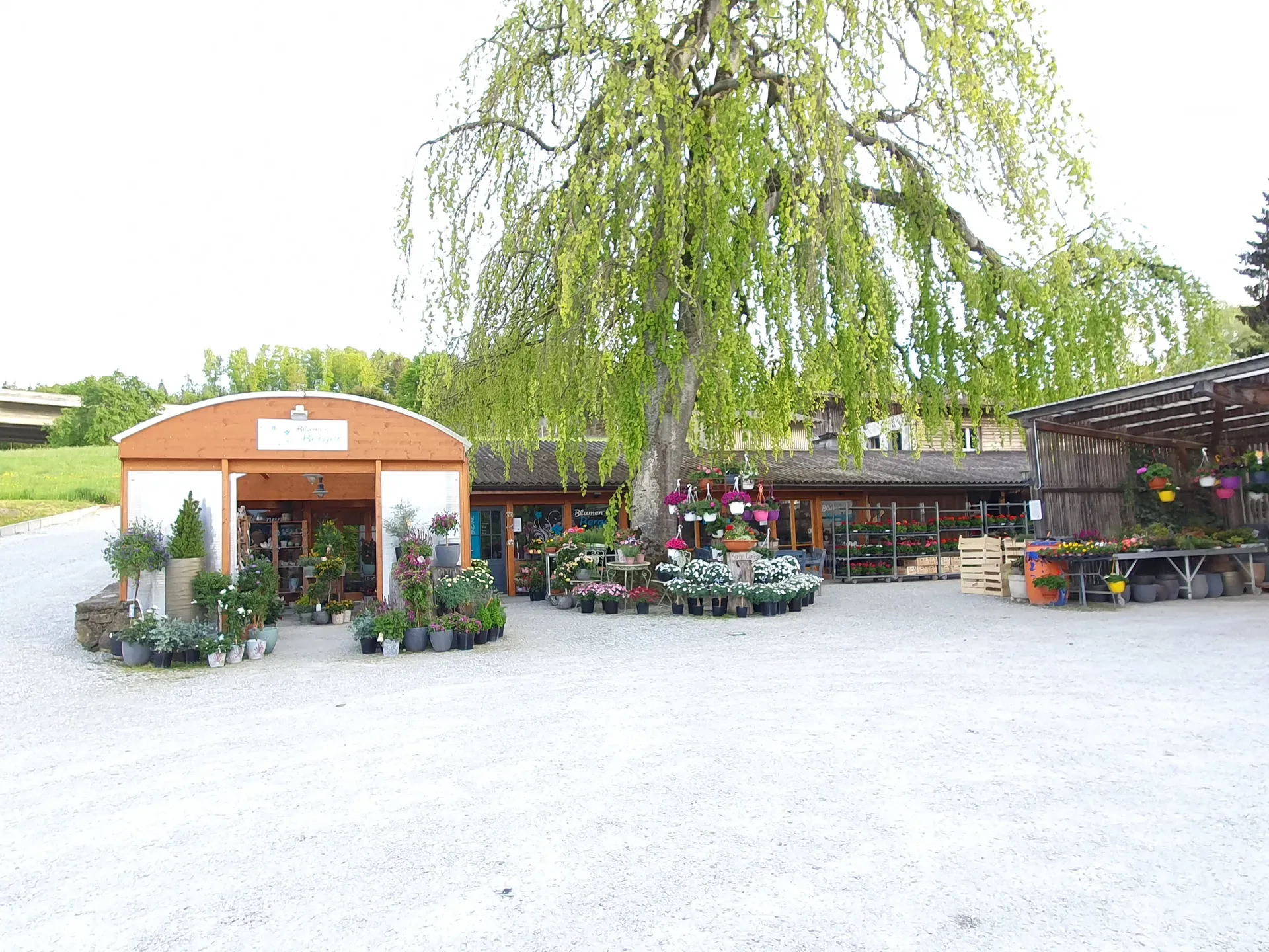 Blumen Berger