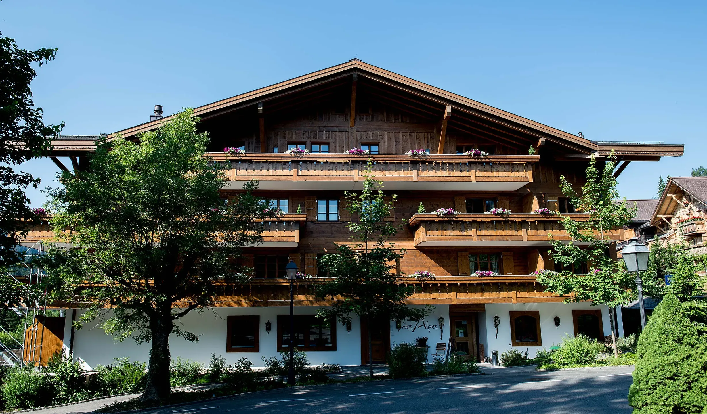 Hotel des Alpes