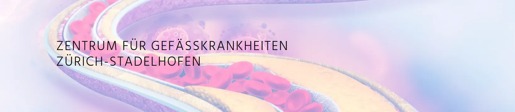 Zentrum für Gefässkrankheiten