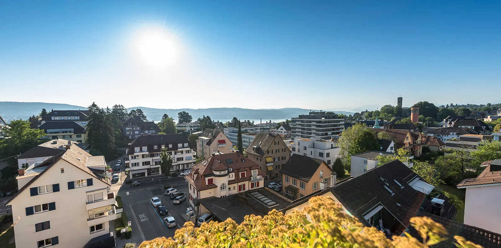 Tannenrauch