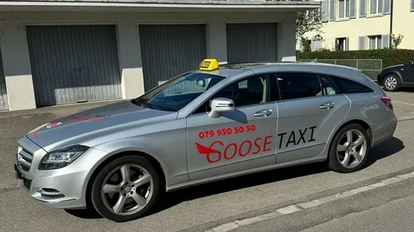 Taxi Goose