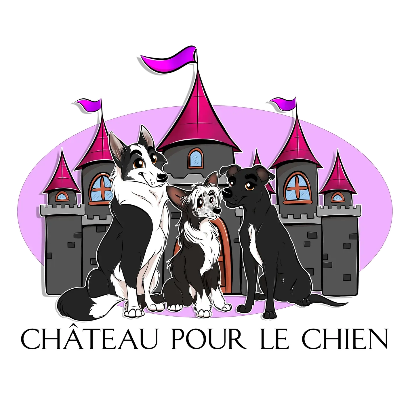 Château pour le chien