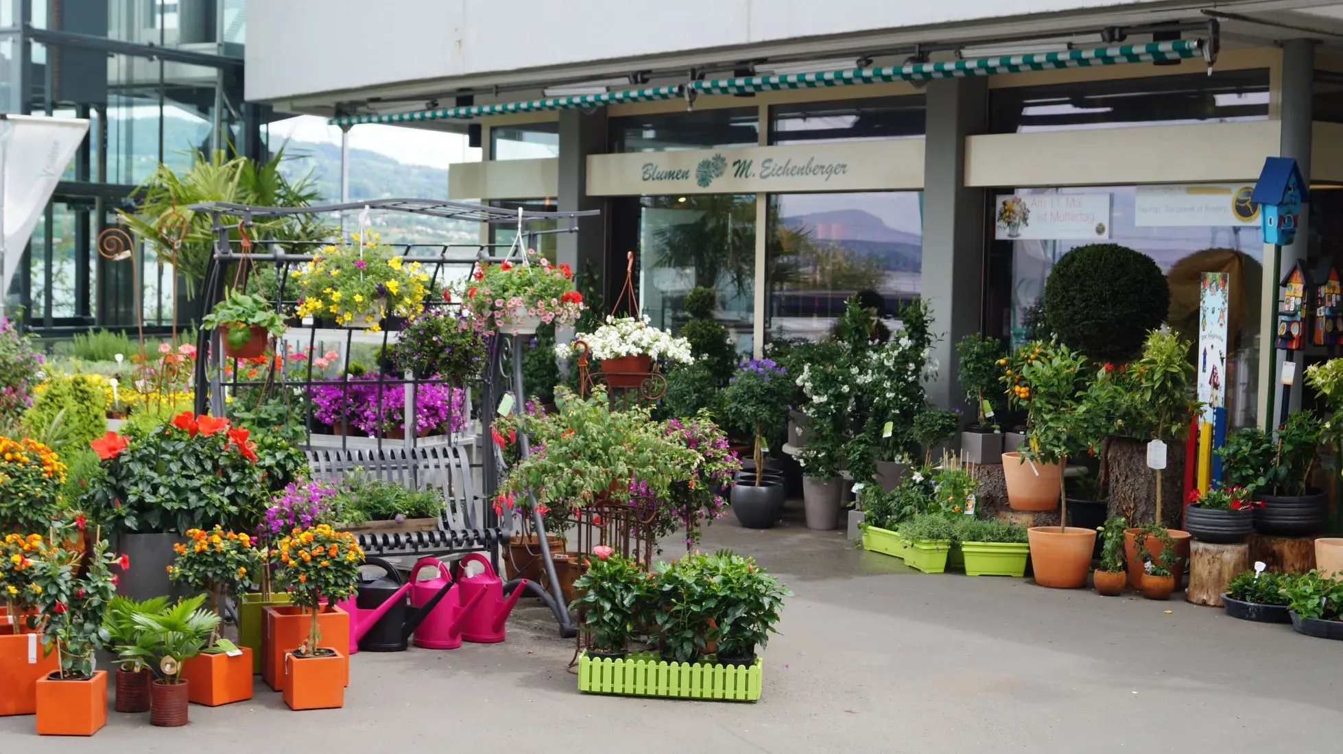 Blumen Eichenberger