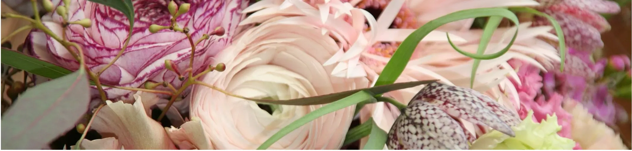Doflores