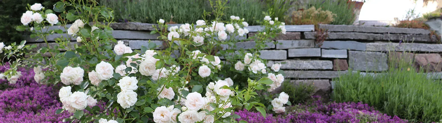Mathis Gartenpflege und Gestaltung GmbH