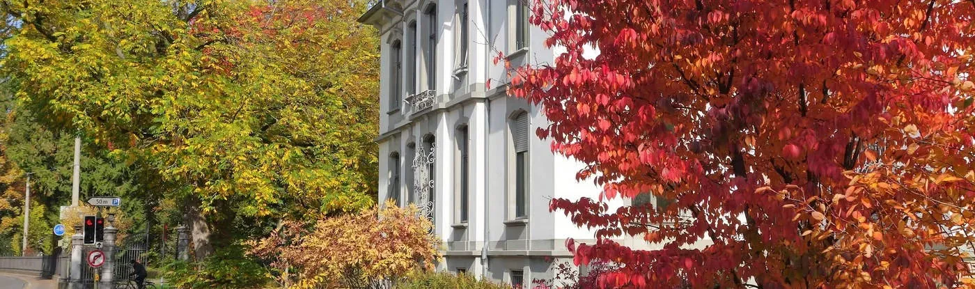 Rütimann Rechtsanwälte - Bau-, Erb- und Scheidungsrecht