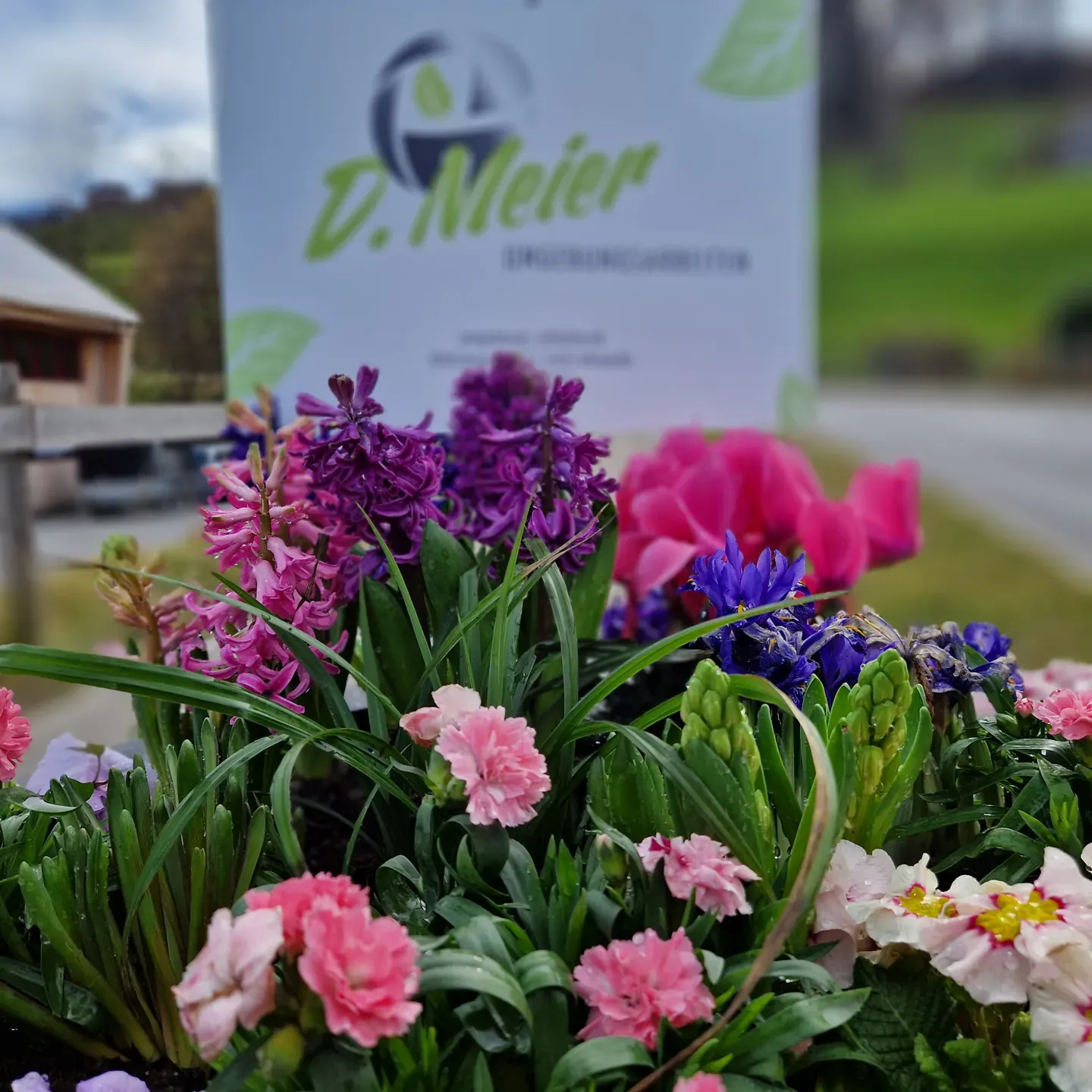 D. Meier Umgebungsarbeiten GmbH