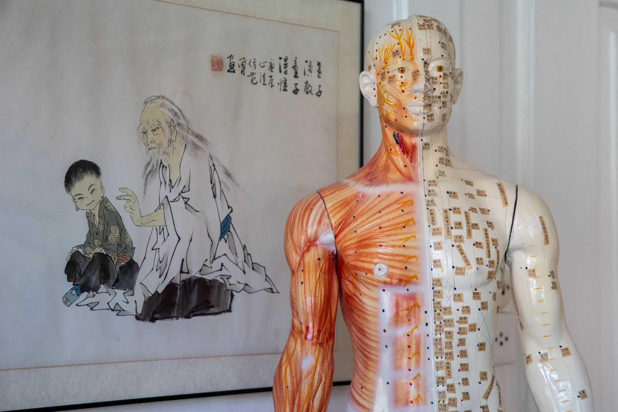Praxis für Traditionelle Chinesische Medizin