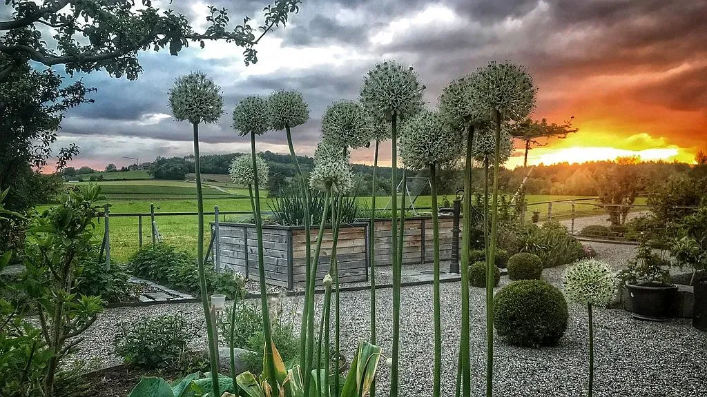 Rutschmann Gartenbau & Naturbau