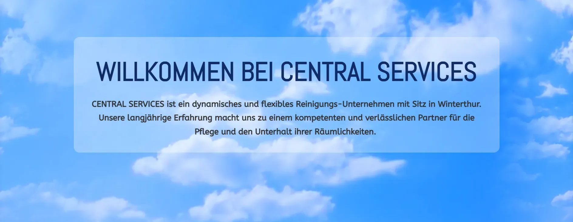 Central-Services Reinigungen
