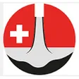 Swiss Fliesssystem AG