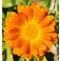 Gesundheitspraxis Tip-Top-Fit