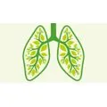 Lungenliga Bern / Ligue pulmonaire bernoise