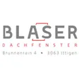 Blaser Dachfenster