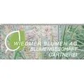 Wiedmer-Blumen AG