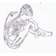 Praxis für Physiotherapie und manuelle Lymphdrainage Bucher Anna