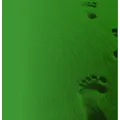 Gesundheitspraxis Fussreflexzonentherapie und Lymphdrainage Waeber