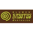 Blumen Habitus, Regula Elmer
