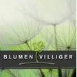 Blumen Villiger GmbH
