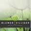 Blumen Villiger GmbH