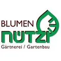 Blumen Nützi