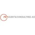 FEY Audit & Consulting AG