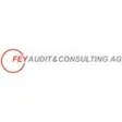 FEY Audit & Consulting AG