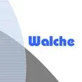 Walche Revisionsgesellschaft AG
