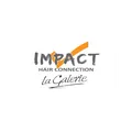 Impact Hair Connection La Galerie