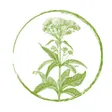 Pflanzensammlung Emmen GmbH