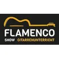Flamenco Show - Gitarrenunterricht