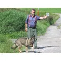 Riko Dogs GmbH