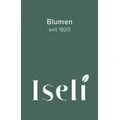 Blumen Iseli