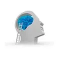 Praxis für Neurofeedback