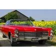 Cadillac Eldorado Cabriolet 1966