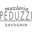 Metzgerei Peduzzi AG