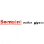 Somaini malen gipsen