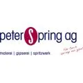Spring Peter AG